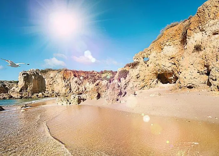 Casa Amendoeira Large Private Pool Wifi 别墅 *